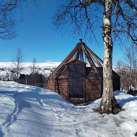 דירות Vårhus Hessdalen Ufocamp מראה חיצוני תמונה