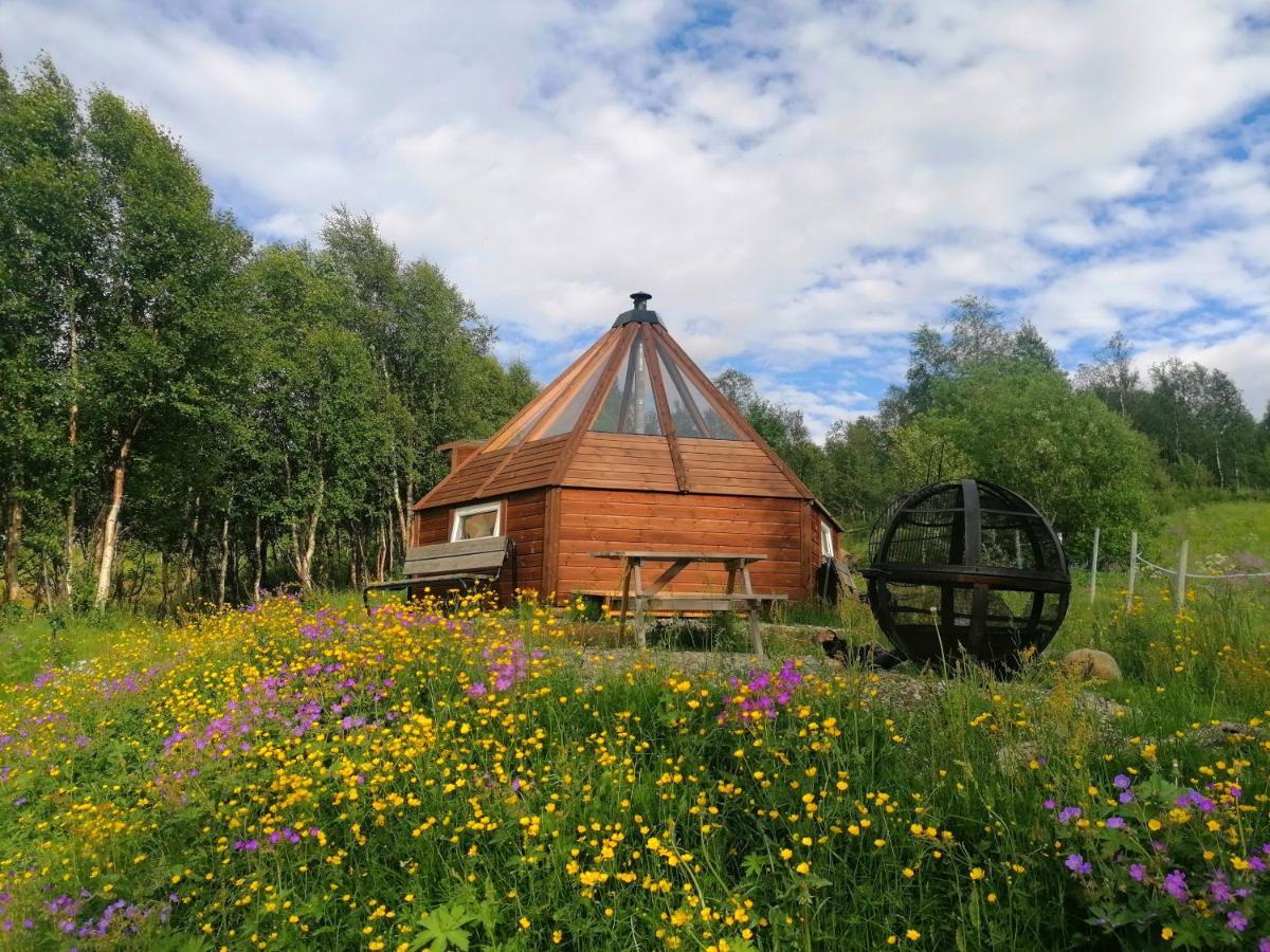 דירות Vårhus Hessdalen Ufocamp מראה חיצוני תמונה