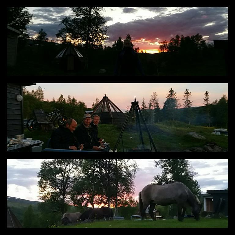 דירות Vårhus Hessdalen Ufocamp מראה חיצוני תמונה