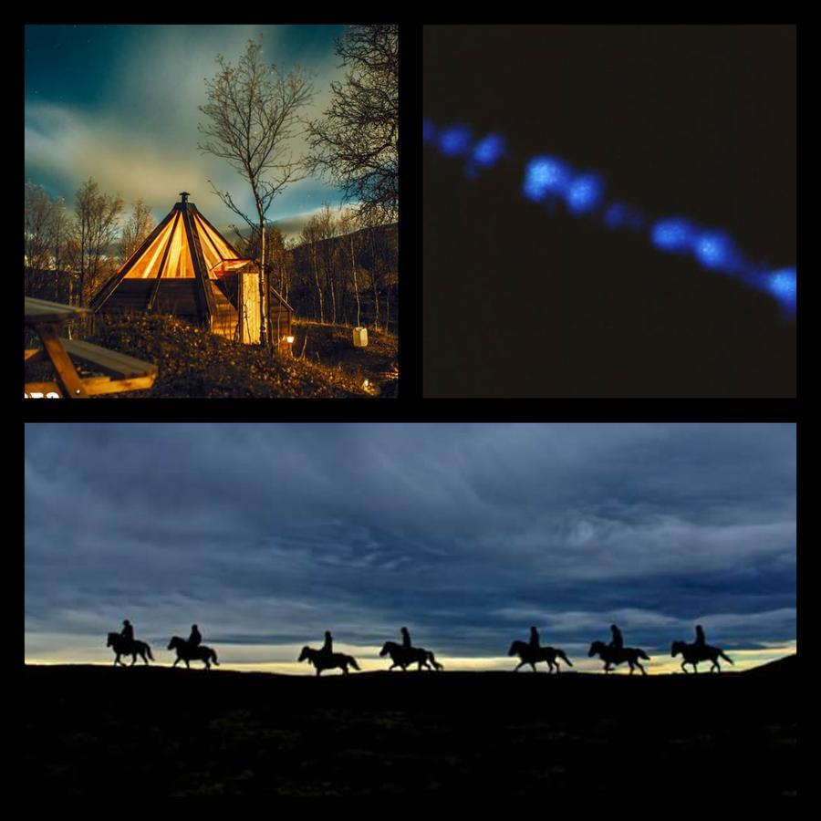 דירות Vårhus Hessdalen Ufocamp מראה חיצוני תמונה